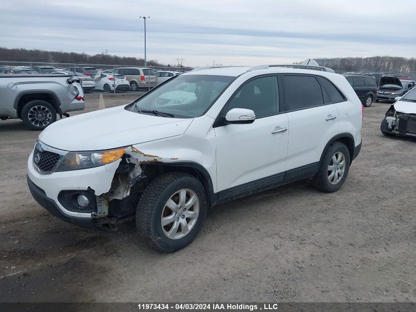 2013 Kia Sorento VIN: 5XYKT3A61DG417325 Lot: 11973434