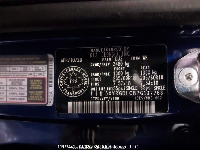 2023 Kia Sorento VIN: 5XYRGDLC8PG197763 Lot: 11973441