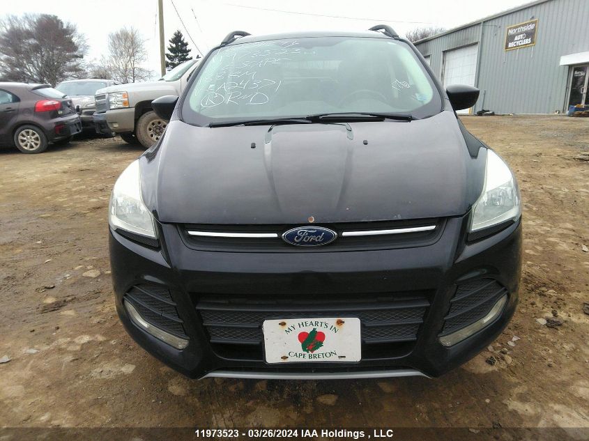 2014 Ford Escape Se VIN: 1FMCU9G92EUA24371 Lot: 11973523