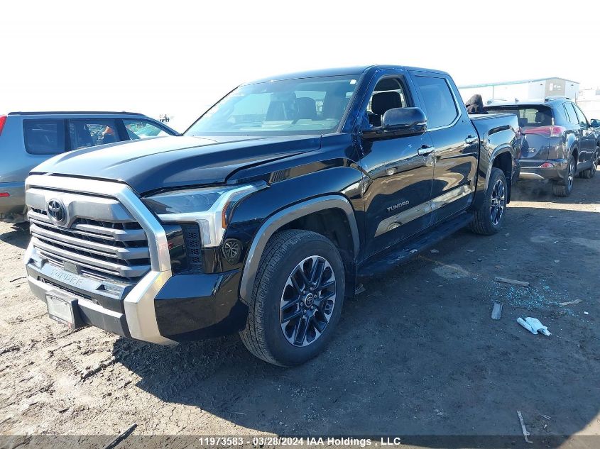 2023 Toyota Tundra Limited VIN: 5TFJA5DB9PX071466 Lot: 11973583