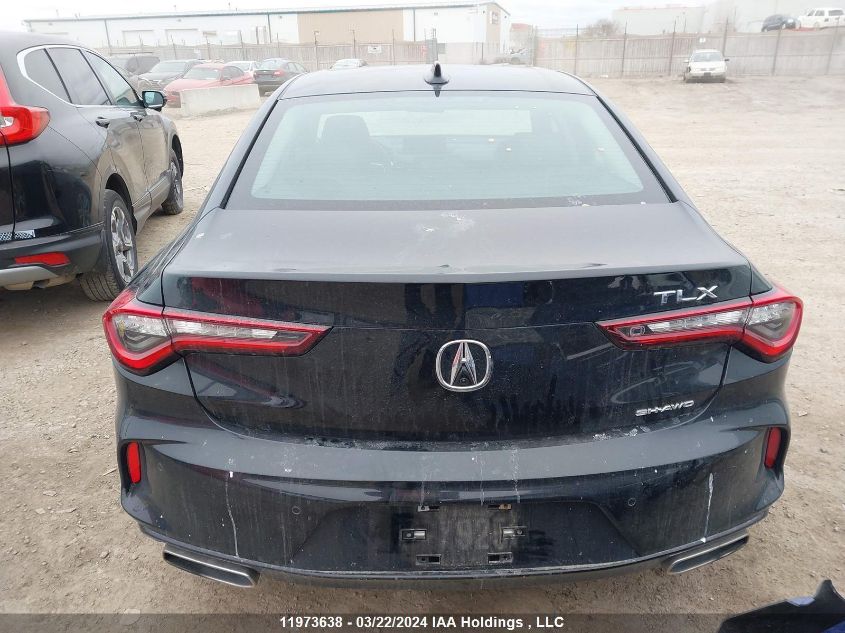 2021 Acura Tlx Technology VIN: 19UUB6F4XMA801738 Lot: 11973638