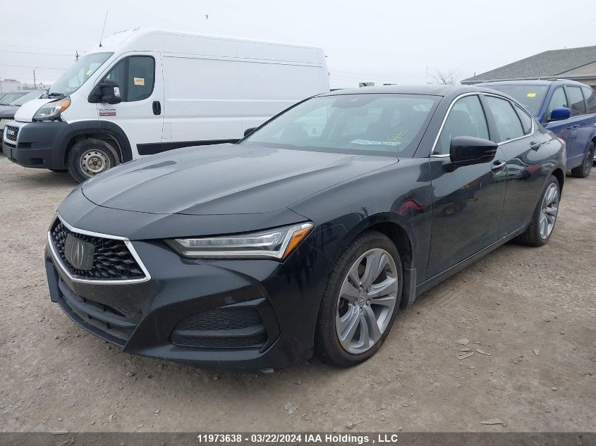 2021 Acura Tlx Technology VIN: 19UUB6F4XMA801738 Lot: 11973638