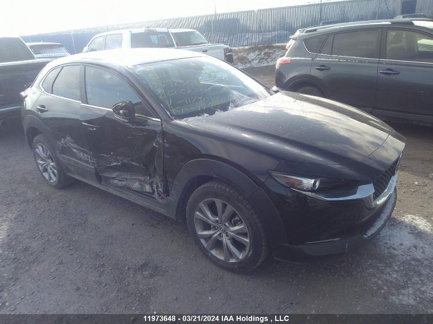 2020 Mazda Cx-30 VIN: 3MVDMBCL8LM117901 Lot: 11973648