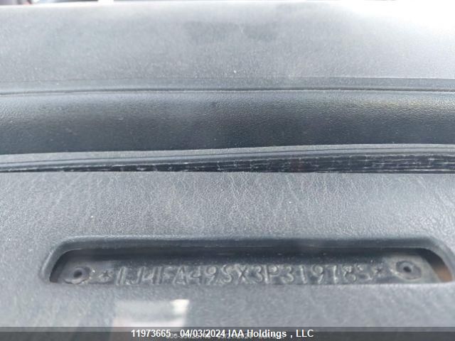 2003 Jeep Tj VIN: 1J4FA49SX3P319785 Lot: 11973665