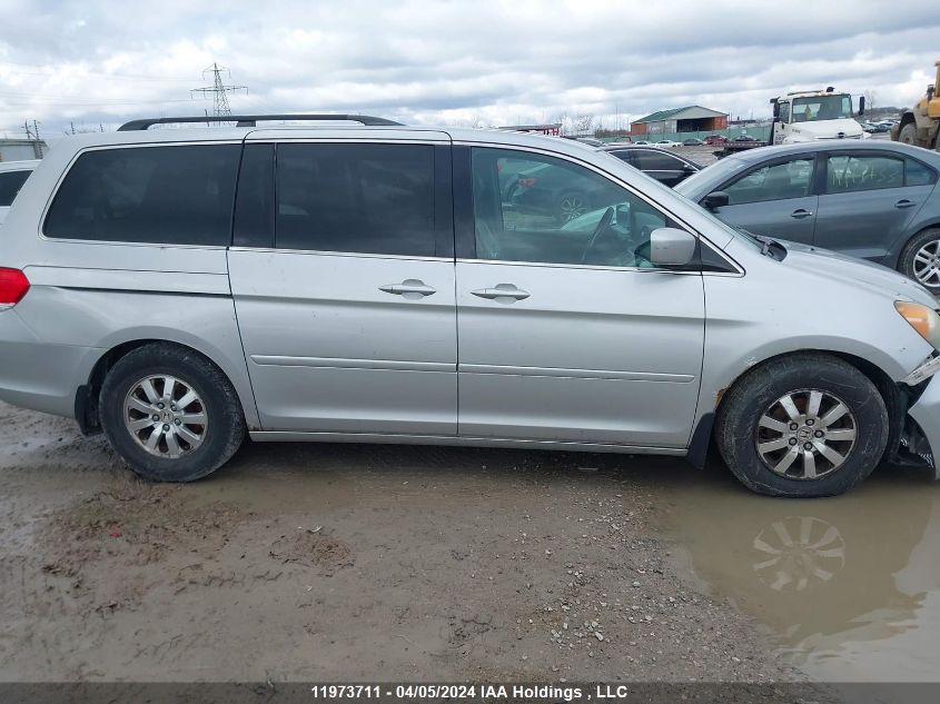 2010 Honda Odyssey Exl VIN: 5FNRL3H65AB502384 Lot: 11973711