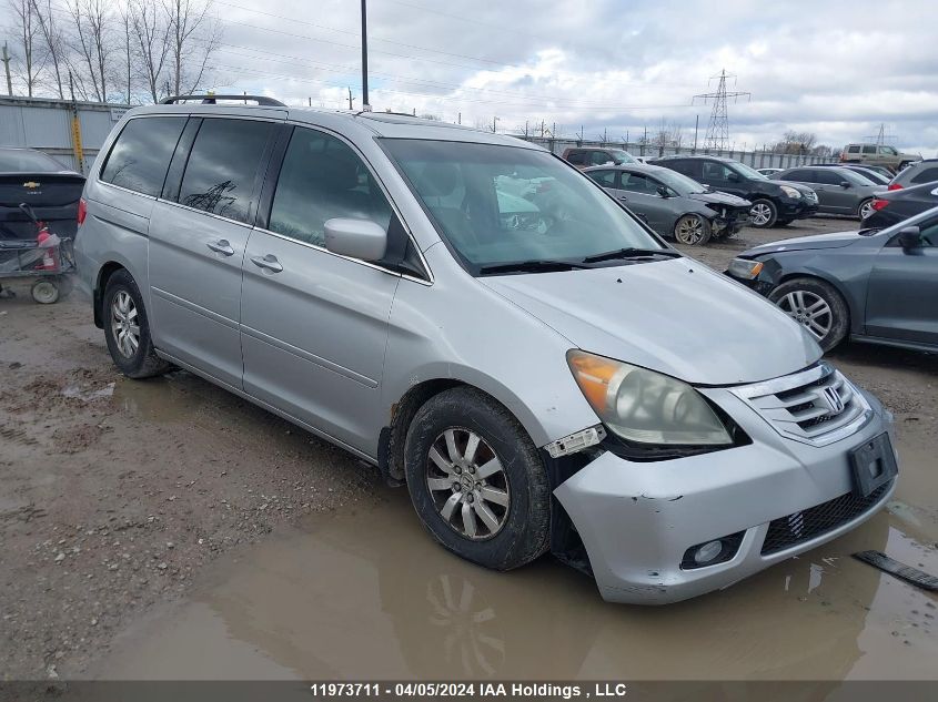 2010 Honda Odyssey Exl VIN: 5FNRL3H65AB502384 Lot: 11973711