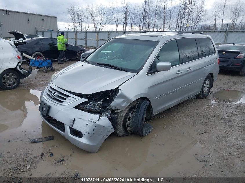 2010 Honda Odyssey Exl VIN: 5FNRL3H65AB502384 Lot: 11973711