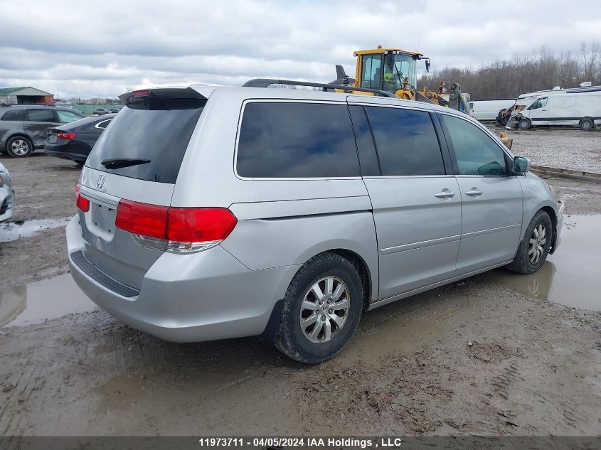 2010 Honda Odyssey Exl VIN: 5FNRL3H65AB502384 Lot: 11973711