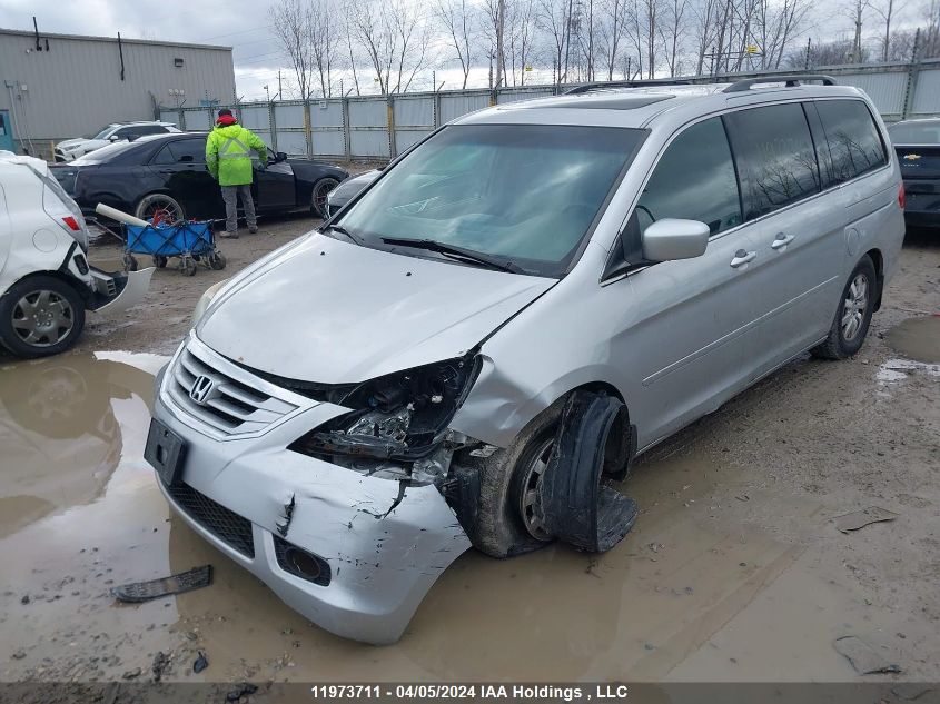 2010 Honda Odyssey Exl VIN: 5FNRL3H65AB502384 Lot: 11973711