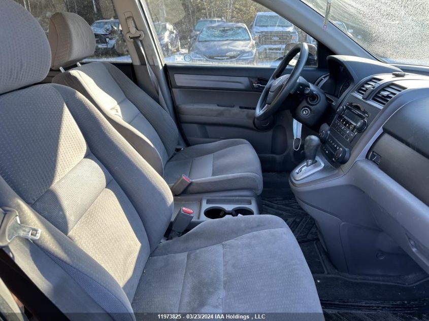 2009 Honda Cr-V VIN: 5J6RE48599L804691 Lot: 11973825