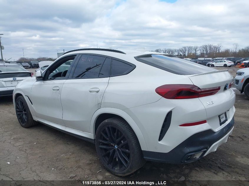 2023 BMW X6 VIN: 5UXCY6C08P9R30141 Lot: 11973856