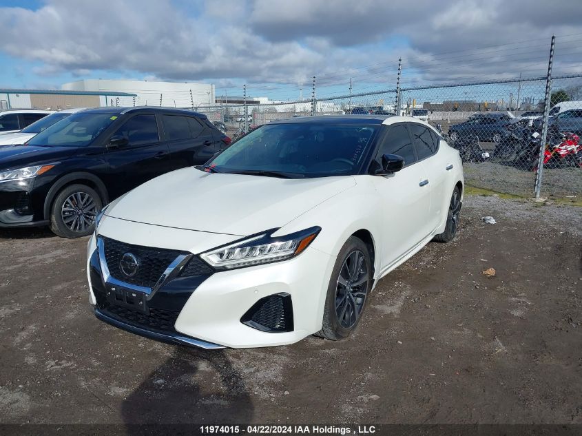 2020 Nissan Maxima VIN: 1N4AA6DV8LC368493 Lot: 11974015