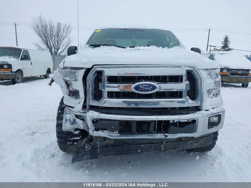 2017 Ford F150 VIN: 1FTMF1EF7HKE01113 Lot: 11974166