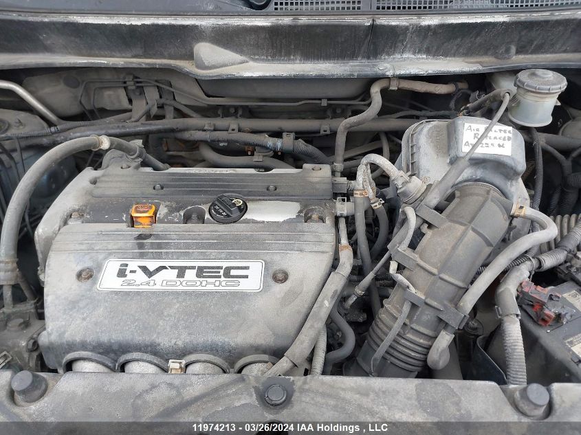 2006 Honda Element VIN: 5J6YH182X6L800846 Lot: 11974213