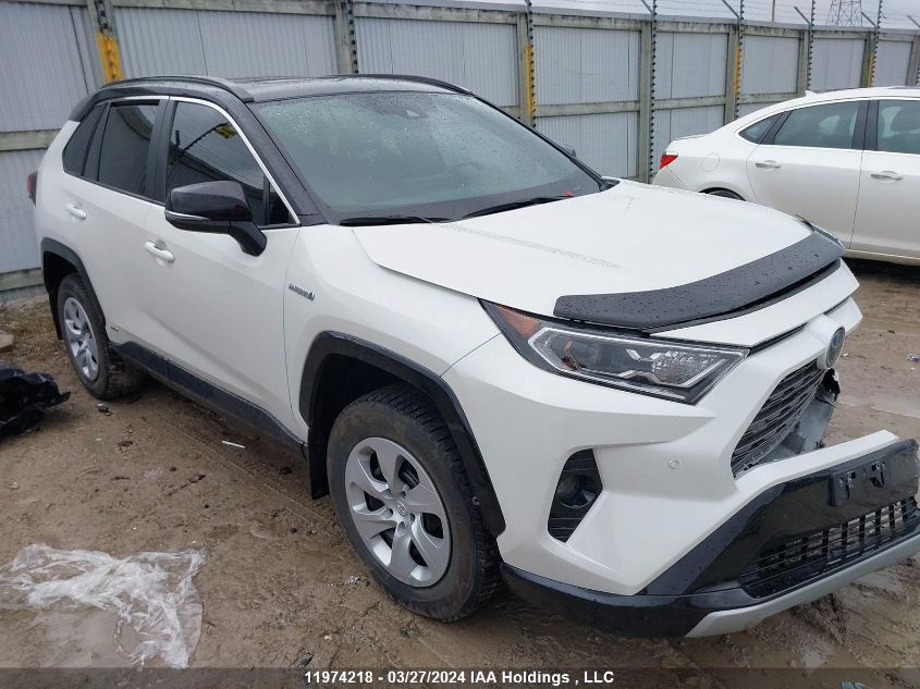 2020 Toyota Rav4 Xle/Xse VIN: 2T3RWRFV3LW099992 Lot: 11974218