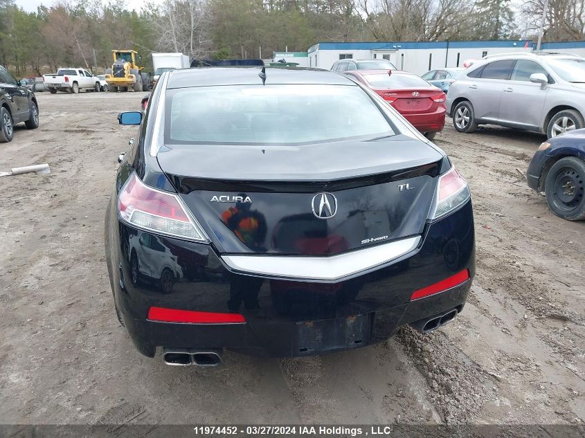 2010 Acura Tl VIN: 19UUA9E52AA801727 Lot: 11974452