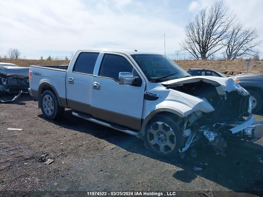 2010 Ford F150 Supercrew VIN: 1FTEW1E85AFD34502 Lot: 11974522