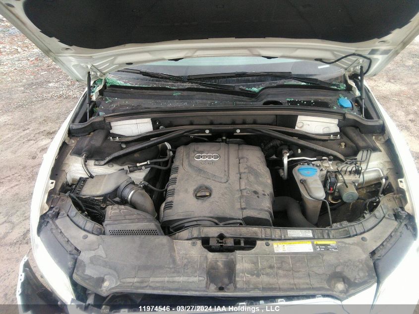 2014 Audi Q5 VIN: WA1LFCFP3EA062358 Lot: 11974546