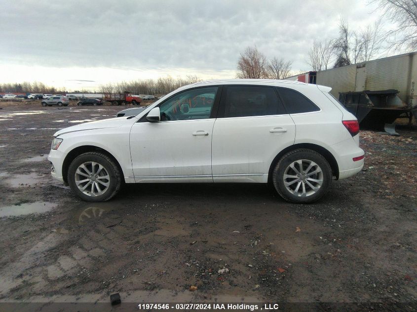 2014 Audi Q5 VIN: WA1LFCFP3EA062358 Lot: 11974546