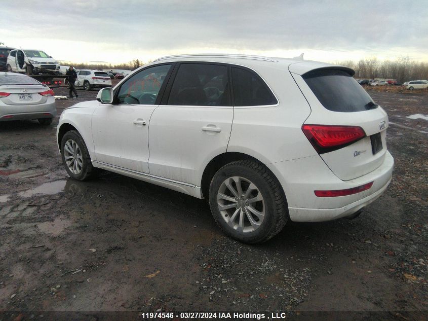 2014 Audi Q5 VIN: WA1LFCFP3EA062358 Lot: 11974546