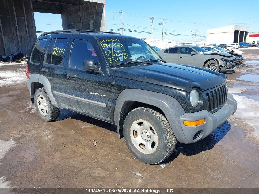 2003 Jeep Liberty Sport/Freedom VIN: 1J4GL48K83W595808 Lot: 50576344