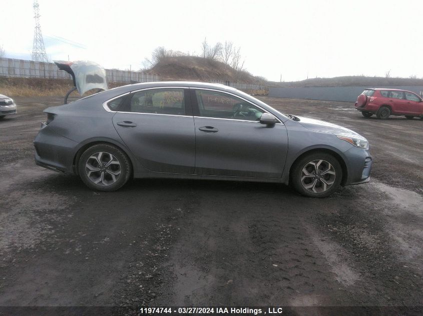 2019 Kia Forte VIN: 3KPF54AD7KE113541 Lot: 11974744