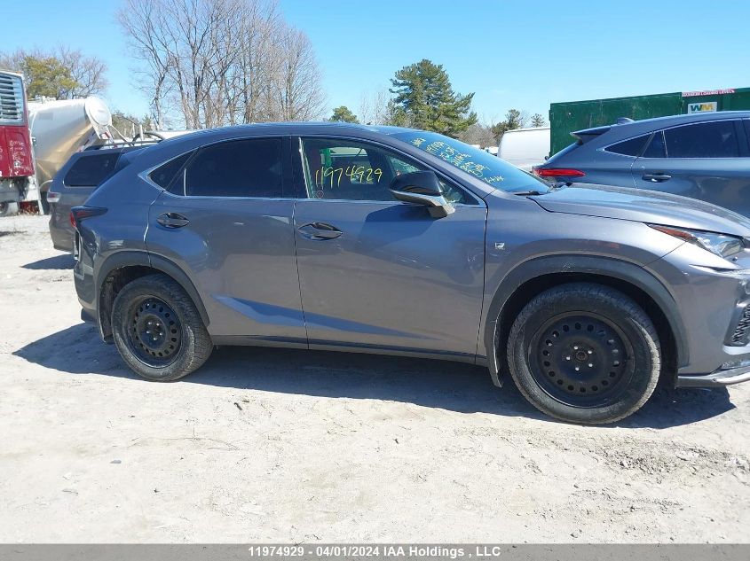 2021 Lexus Nx 300 Base/300 Luxury/300 F-Sport VIN: JTJSARDZ8M2252329 Lot: 11974929