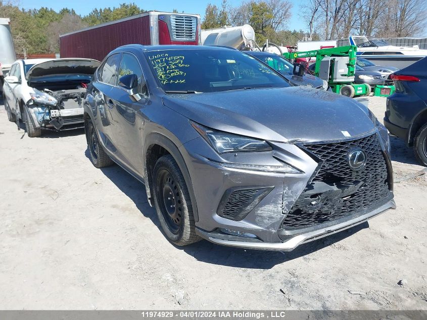 2021 Lexus Nx 300 Base/300 Luxury/300 F-Sport VIN: JTJSARDZ8M2252329 Lot: 11974929