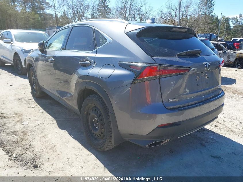 2021 Lexus Nx 300 Base/300 Luxury/300 F-Sport VIN: JTJSARDZ8M2252329 Lot: 11974929