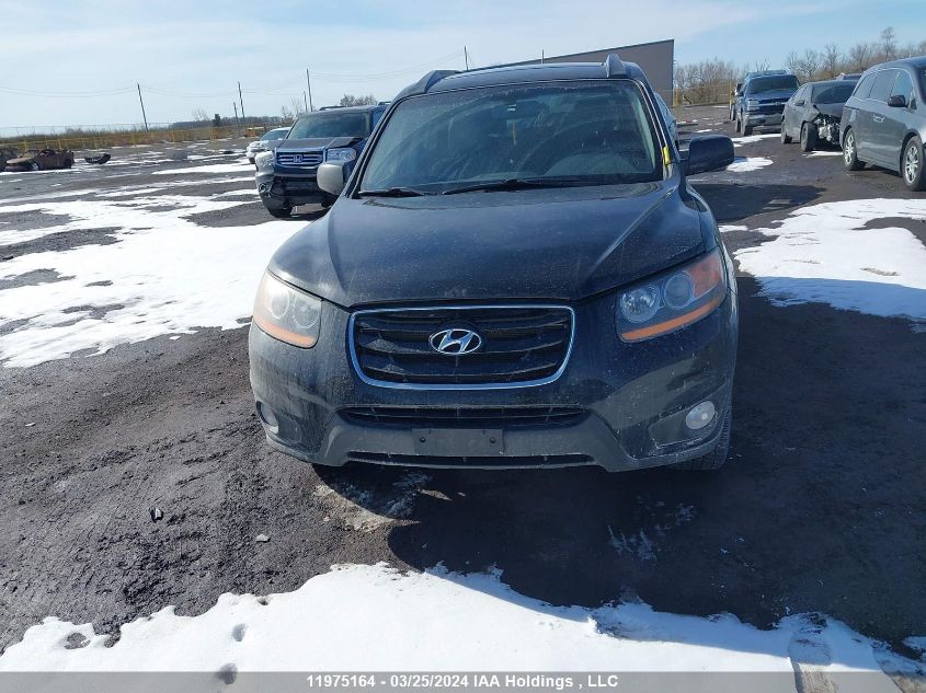 2010 Hyundai Santa Fe Se VIN: 5NMSHDAG9AH411810 Lot: 11975164