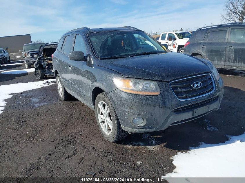 2010 Hyundai Santa Fe Se VIN: 5NMSHDAG9AH411810 Lot: 11975164