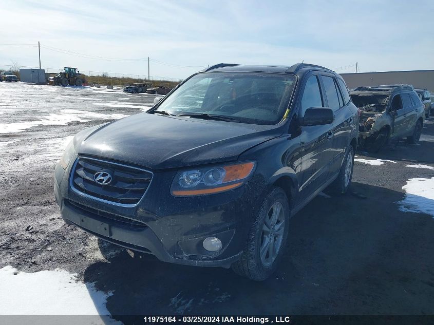 2010 Hyundai Santa Fe Se VIN: 5NMSHDAG9AH411810 Lot: 11975164