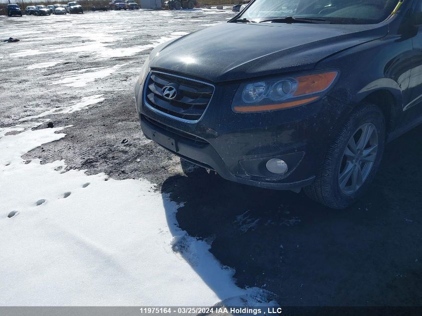 2010 Hyundai Santa Fe Se VIN: 5NMSHDAG9AH411810 Lot: 11975164