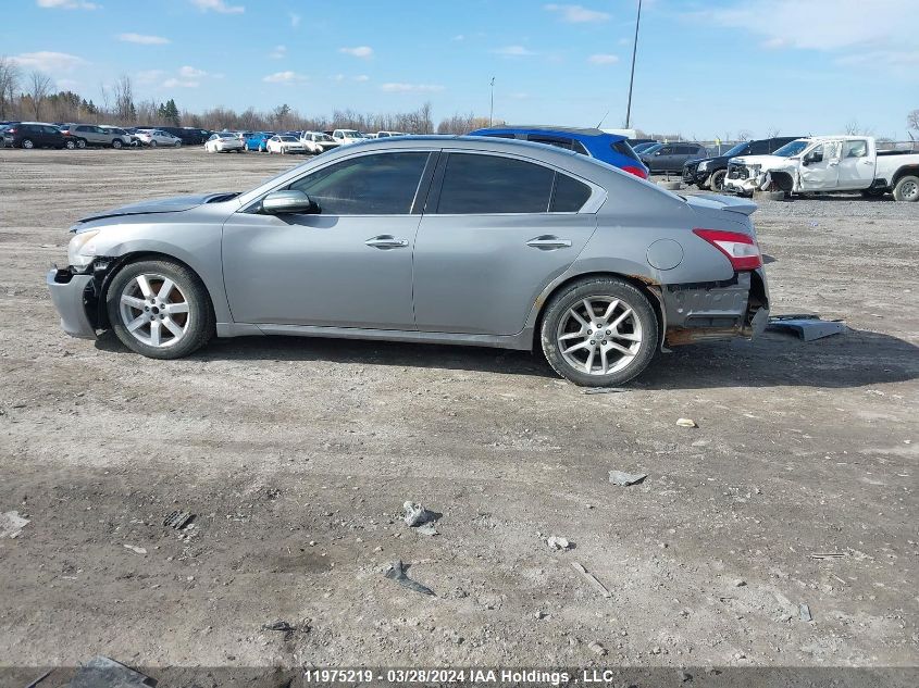 2009 Nissan Maxima 3.5 S VIN: 1N4AA51E29C805217 Lot: 39240864