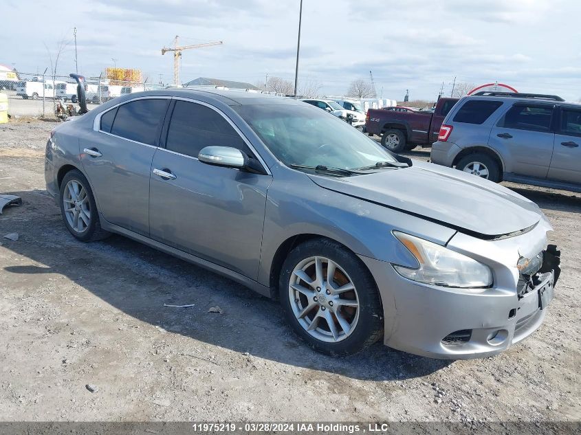 2009 Nissan Maxima 3.5 S VIN: 1N4AA51E29C805217 Lot: 39240864