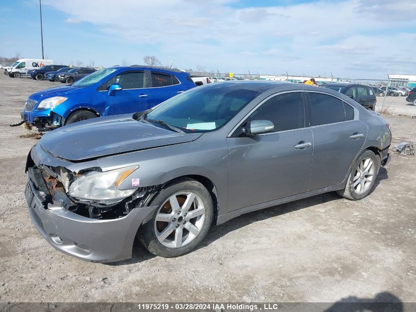 2009 Nissan Maxima 3.5 S VIN: 1N4AA51E29C805217 Lot: 39240864