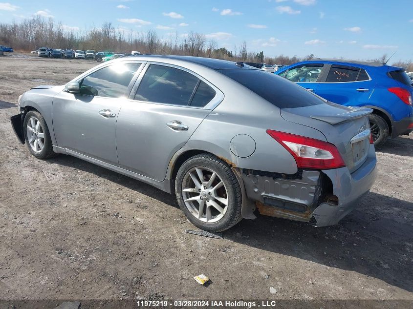 2009 Nissan Maxima 3.5 S VIN: 1N4AA51E29C805217 Lot: 39240864