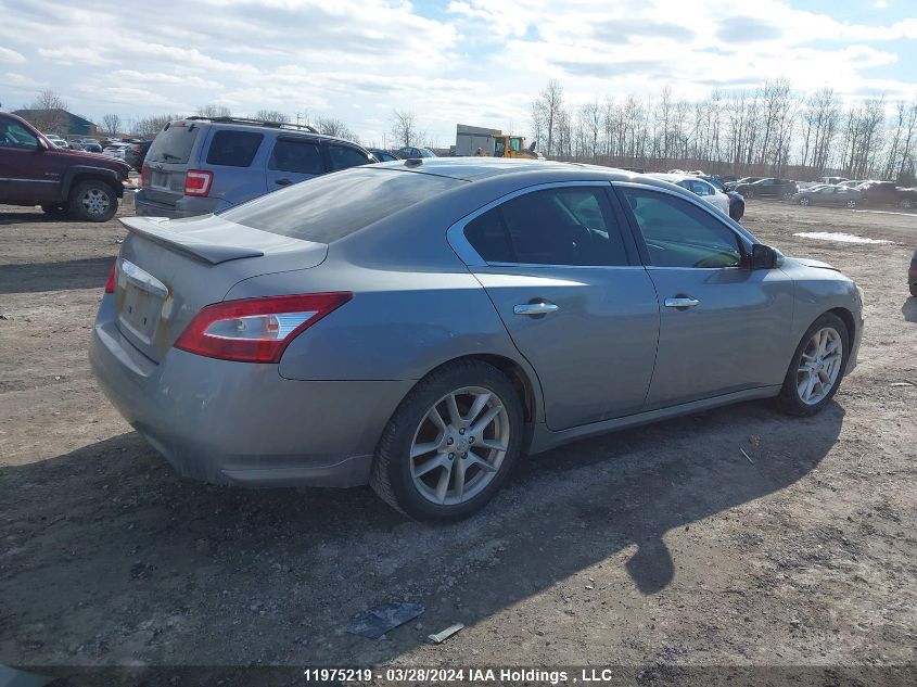 2009 Nissan Maxima 3.5 S VIN: 1N4AA51E29C805217 Lot: 39240864