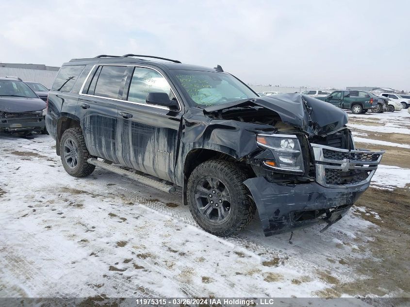 2019 Chevrolet Tahoe VIN: 1GNSKBKC0KR342494 Lot: 11975315