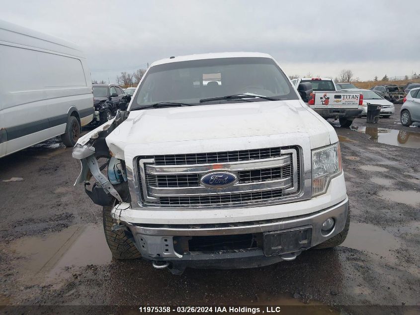 2013 Ford F-150 VIN: 1FTFW1ET1DFD05480 Lot: 11975358
