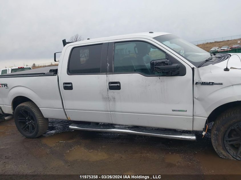 2013 Ford F-150 VIN: 1FTFW1ET1DFD05480 Lot: 11975358