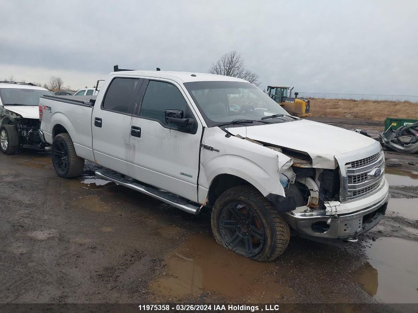 2013 Ford F-150 VIN: 1FTFW1ET1DFD05480 Lot: 11975358
