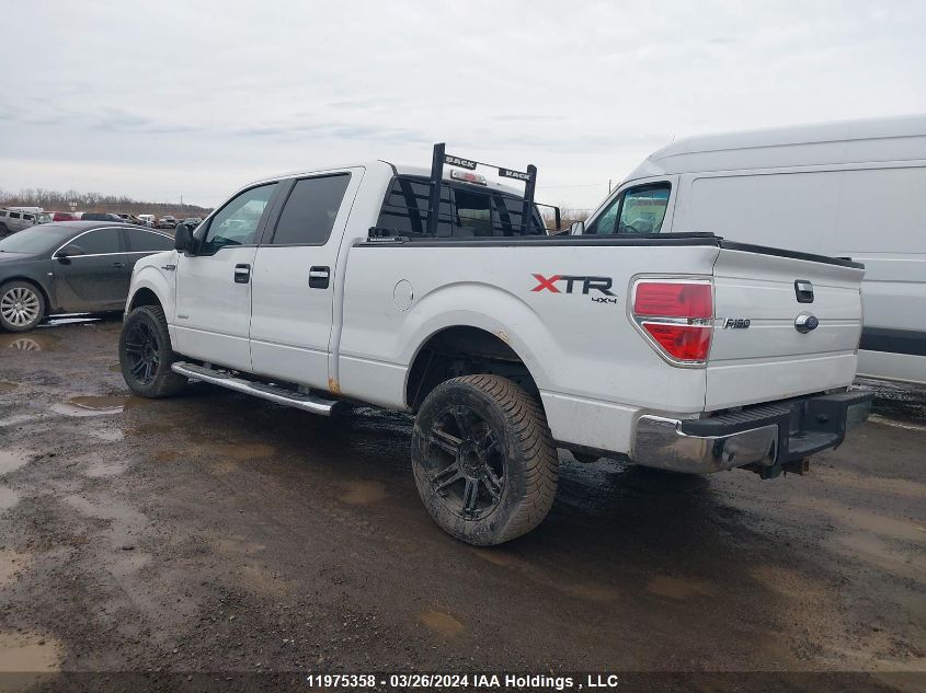 2013 Ford F-150 VIN: 1FTFW1ET1DFD05480 Lot: 11975358