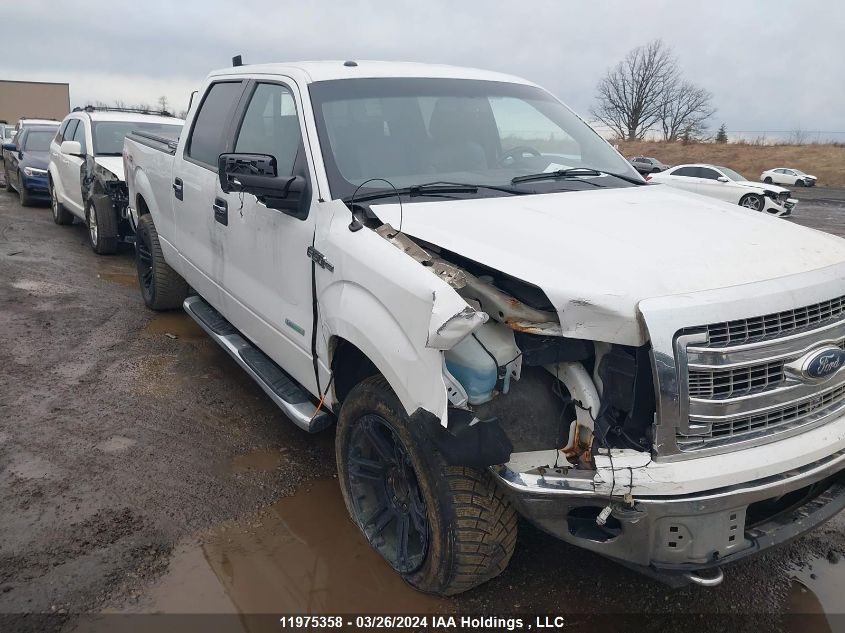 2013 Ford F-150 VIN: 1FTFW1ET1DFD05480 Lot: 11975358