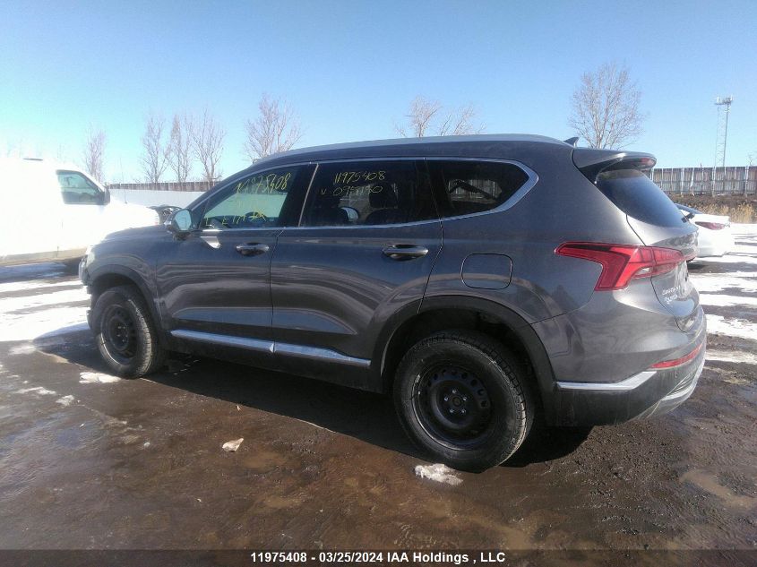 2023 Hyundai Santa Fe Limited VIN: KM8S5DA19PU095150 Lot: 39240694