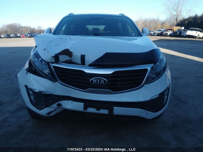 2012 Kia Sportage VIN: KNDPCCA65C7229859 Lot: 11975433