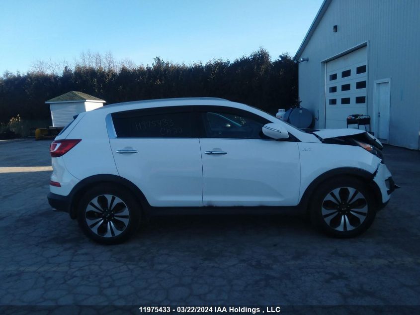 2012 Kia Sportage VIN: KNDPCCA65C7229859 Lot: 11975433