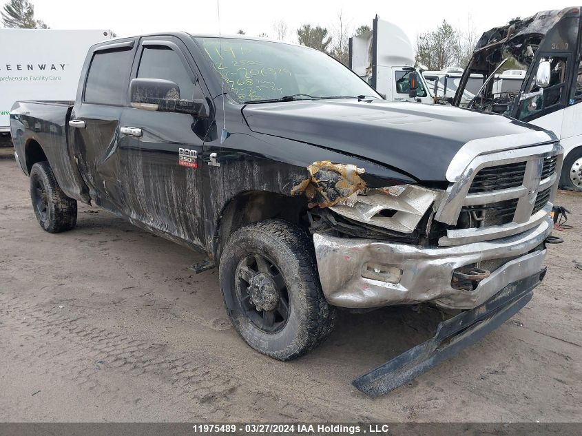 2012 Dodge Ram 2500 Slt VIN: 3C6UD5DL7CG206379 Lot: 11975489