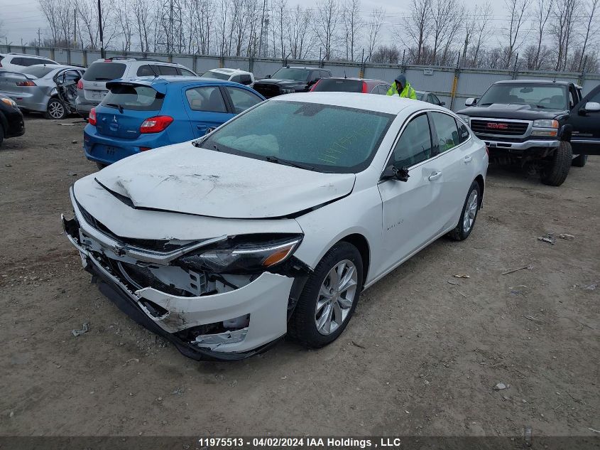 2023 Chevrolet Malibu VIN: 1G1ZD5ST6PF203703 Lot: 11975513