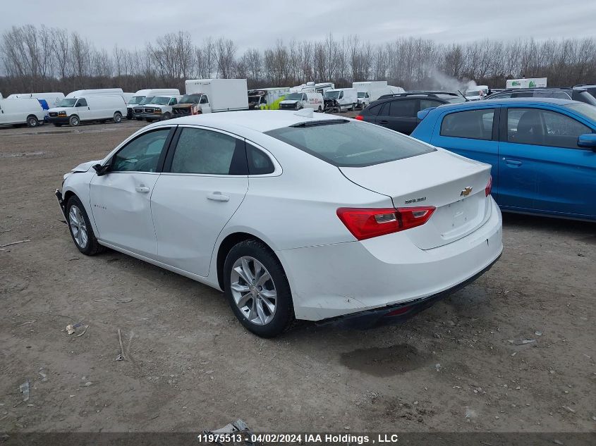 2023 Chevrolet Malibu VIN: 1G1ZD5ST6PF203703 Lot: 11975513